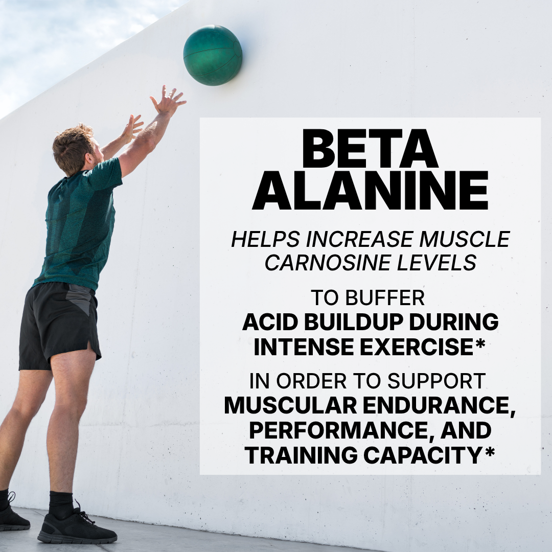 BETA ALANINE