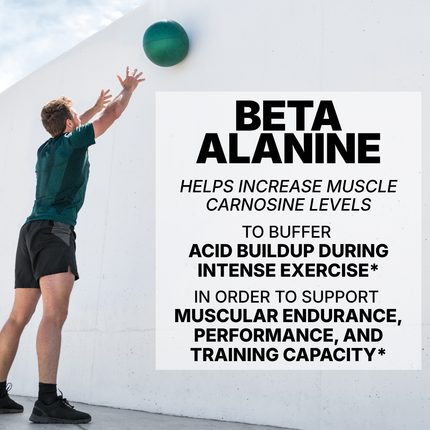 BETA ALANINE