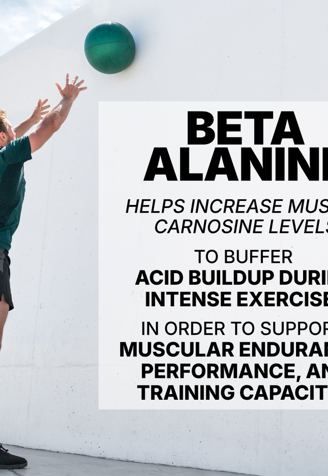 BETA ALANINE