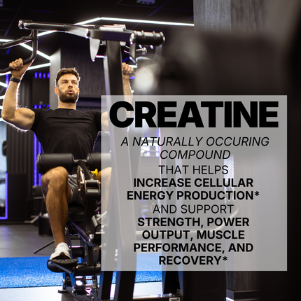 CREATINE MONOHYDRATE - UNFLAVORED POWDER