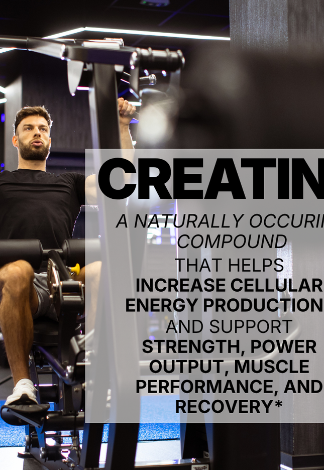 CREATINE MONOHYDRATE - UNFLAVORED POWDER