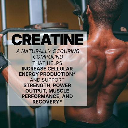 CREATINE MONOHYDRATE - FLAVORED