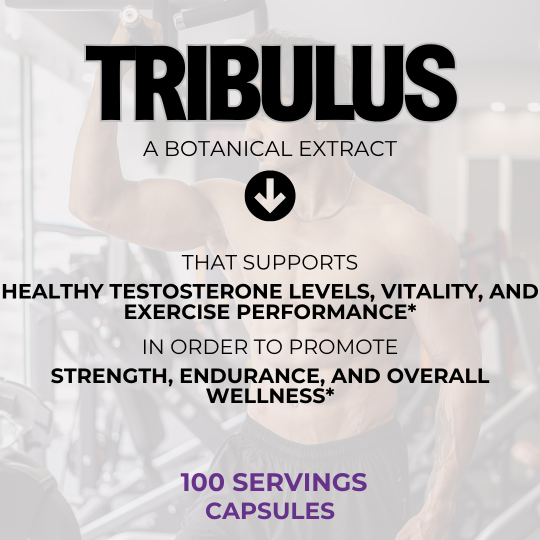 TRIBULUS