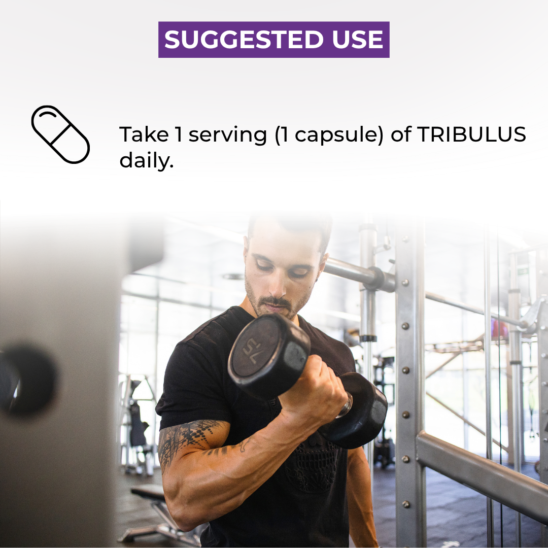 TRIBULUS
