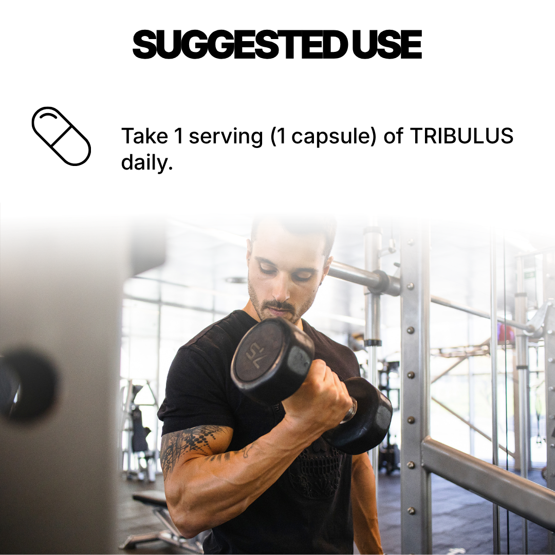 TRIBULUS