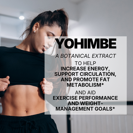 YOHIMBE