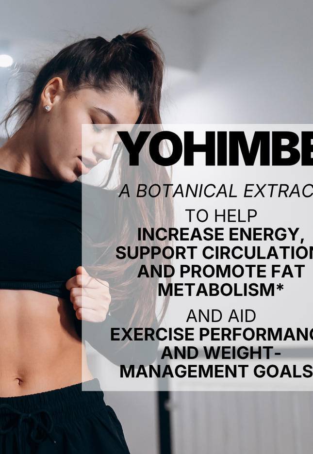 YOHIMBE