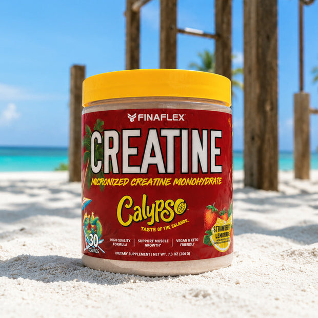 <h4>CREATINE</h4>